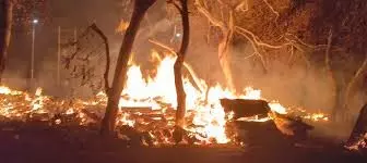 Azamgarh News: वन विभाग के डंपिंग ग्राउंड में लगी भीषण आग, बुझाने पहुंची दमकल की तीन गाड़ियां Azamgarh News: वन विभाग के डंपिंग ग्राउंड में लगी भीषण आग, बुझाने पहुंची दमकल की तीन गाड़ियां