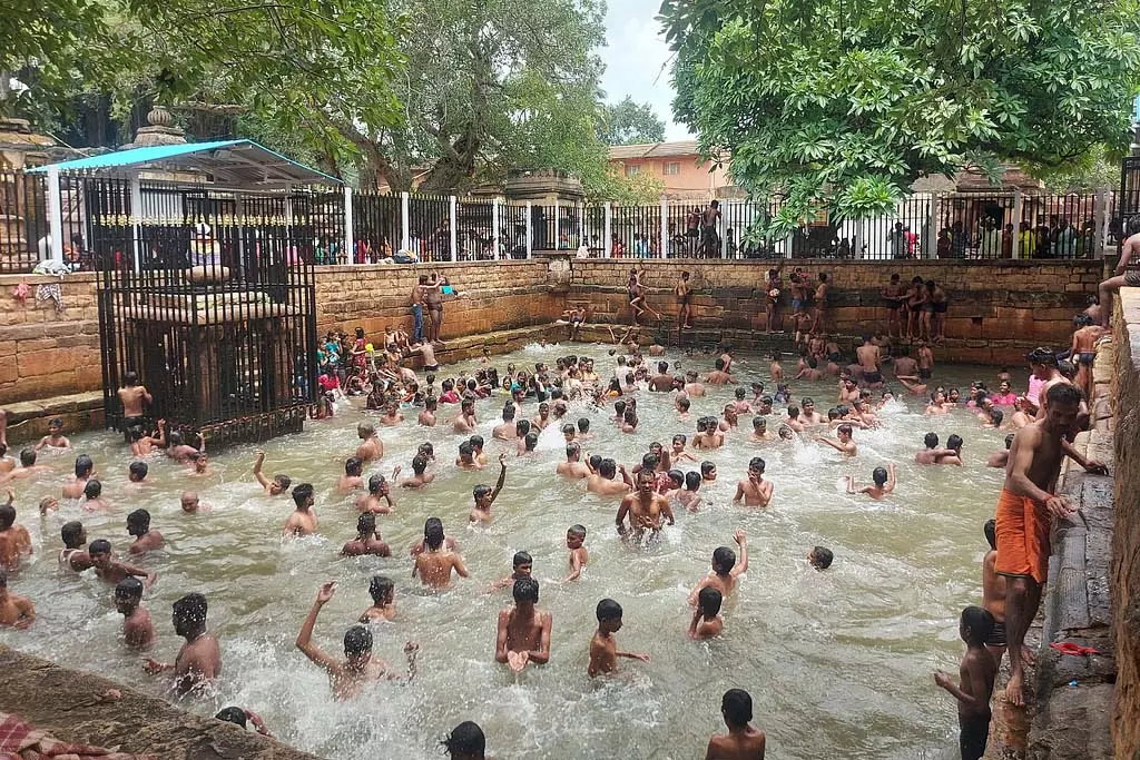 Almonds : हजारों वर्षों से चावल का स्रोत Almonds : हजारों वर्षों से चावल का स्रोत