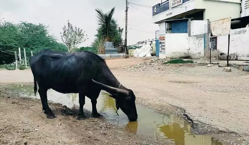 Raichur : गर्मी का प्रकोप बढ़ा, लोग हीटस्ट्रोक से पीड़ित Raichur : गर्मी का प्रकोप बढ़ा, लोग हीटस्ट्रोक से पीड़ित