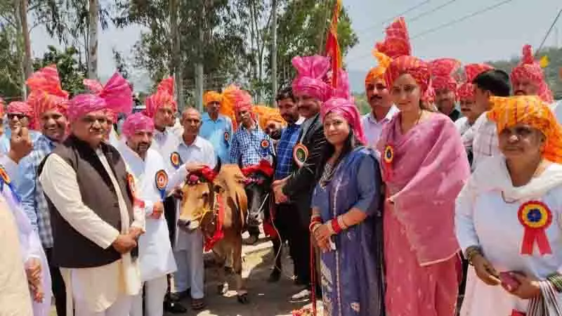 Jhanduta में नलवाड़ी मेला पारंपरिक उत्साह के साथ मनाया गया Jhanduta में नलवाड़ी मेला पारंपरिक उत्साह के साथ मनाया गया