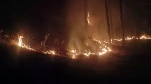Champawat: बाराकोट के जंगलों में लगी भीषण आग, आग बुझाने में जुटा महकमा Champawat: बाराकोट के जंगलों में लगी भीषण आग, आग बुझाने में जुटा महकमा
