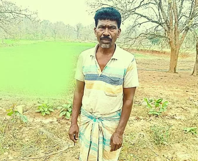 वन अधिकार पत्र से मिली जमीन से उग्रसेन की जिंदगी ने ली नई दिशा वन अधिकार पत्र से मिली जमीन से उग्रसेन की जिंदगी ने ली नई दिशा