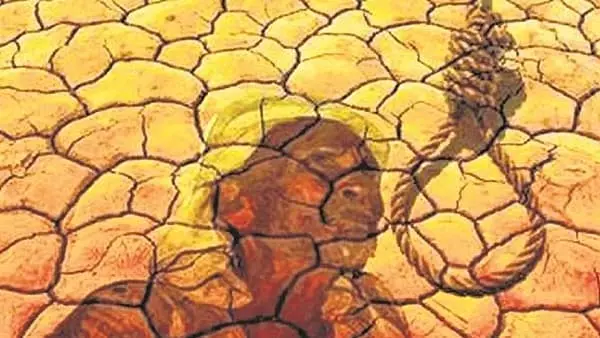 मराठवाड़ा में किसानों की आत्महत्या में वृद्धि, 2025 तक 269 मामले दर्ज किए जाएंगे मराठवाड़ा में किसानों की आत्महत्या में वृद्धि, 2025 तक 269 मामले दर्ज किए जाएंगे