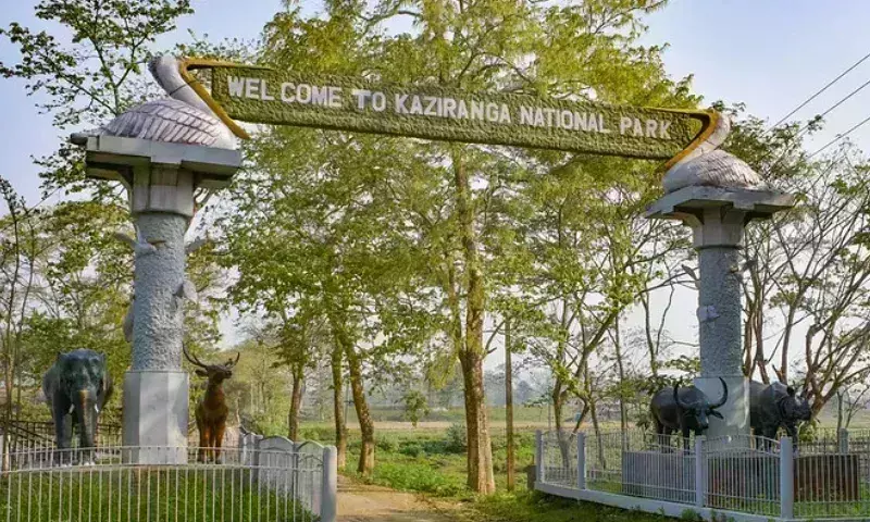 Assam : सरकार ने काजीरंगा के छठे हिस्से में मछली पकड़ने की अनुमति दी, विवाद छिड़ा Assam : सरकार ने काजीरंगा के छठे हिस्से में मछली पकड़ने की अनुमति दी, विवाद छिड़ा