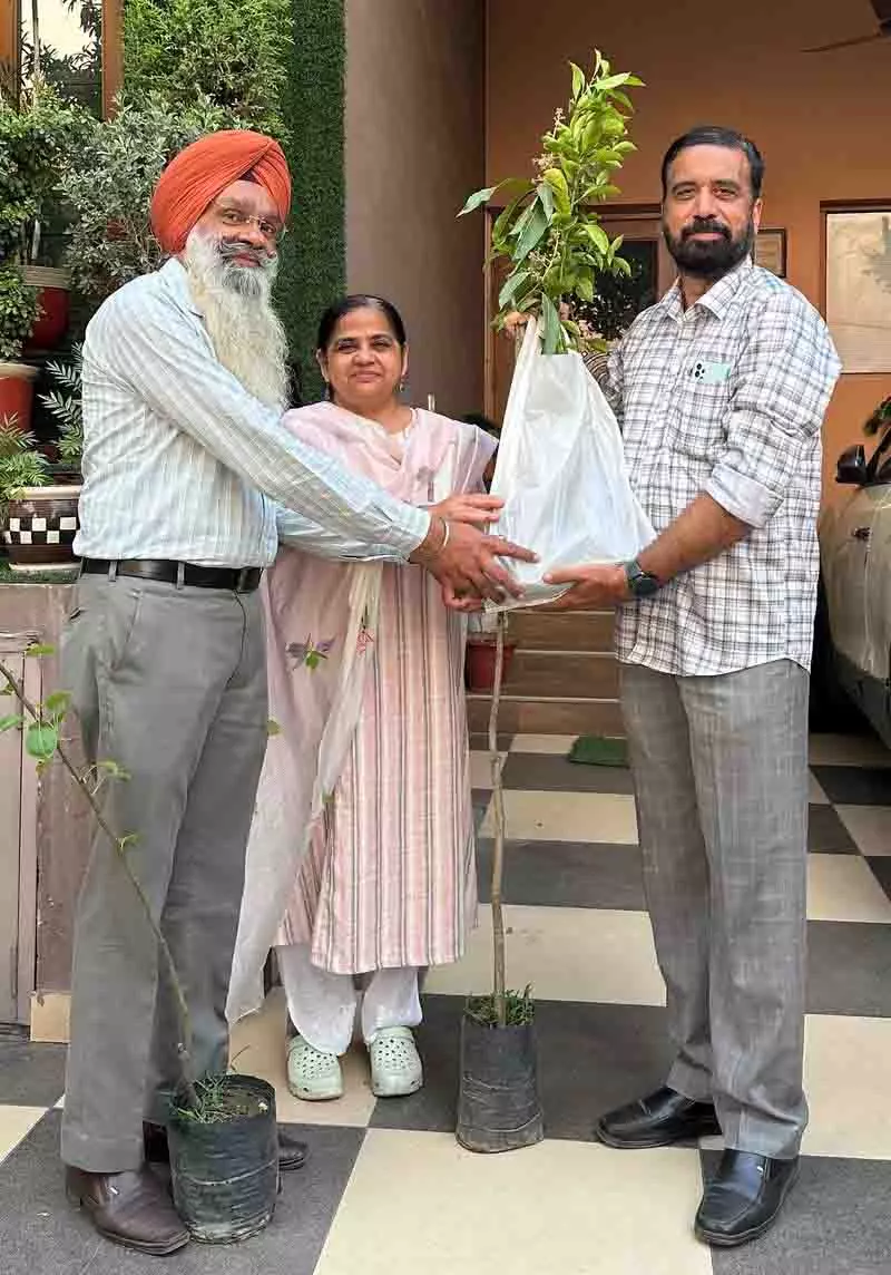 Ludhiana: हरित मिशन पर काम करने वाले व्यक्ति ने 1.6 लाख पेड़ लगाए Ludhiana: हरित मिशन पर काम करने वाले व्यक्ति ने 1.6 लाख पेड़ लगाए