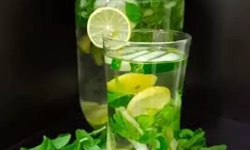Summer Tips: गर्मियों में आपके चेहरे पर चमक ला देगा ये नुस्खा