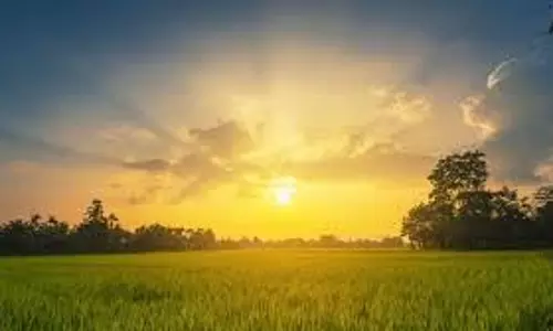 Morning Astro Tips इन शक्तिशाली मंत्रों के जाप से करें अपने दिन की शुरुआत, जीवन होगा खुशहाल