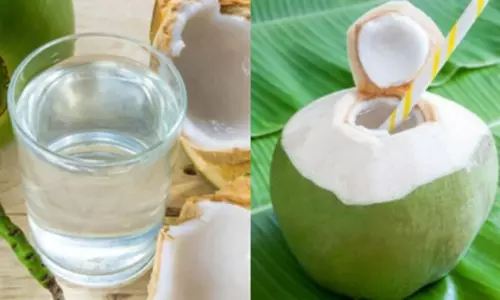 गर्मी में नारियल पानी ‘अमृत’ समान, शुद्ध नैचुरल प्रोडक्ट शरीर के जरूरी अंगों का रखता है खास ख्याल