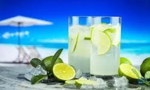 Mint Lemon Sharbat:  बढ़ते पारे के बीच शरीर को ठंडा रखने के लिए कर सकते हैं इसका सेवन