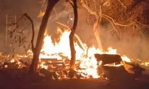 Azamgarh News: वन विभाग के डंपिंग ग्राउंड में लगी भीषण आग, बुझाने पहुंची दमकल की तीन गाड़ियां Azamgarh News: वन विभाग के डंपिंग ग्राउंड में लगी भीषण आग, बुझाने पहुंची दमकल की तीन गाड़ियां