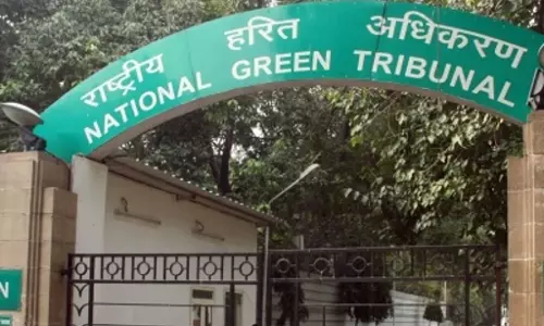 NGT ने मछली इकाई द्वारा नदी प्रदूषण की जांच के लिए पैनल गठित किया