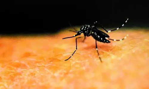 Karnataka : मानसून से पहले डेंगू का खतरा