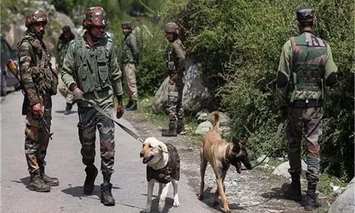 Pahalgam attack: इस इलाके में संदिग्ध गतिविधियां, तलाशी अभियान शुरू