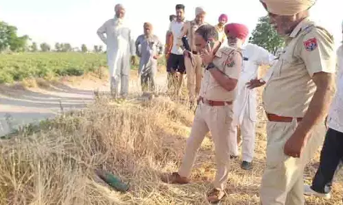 Faridkot के खेत में बम जैसी दिखने वाली वस्तु धुंआदार मोमबत्ती निकली Faridkot के खेत में बम जैसी दिखने वाली वस्तु धुंआदार मोमबत्ती निकली