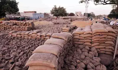 Punjab: किसानों ने गेहूं की धीमी खरीद की शिकायत की
