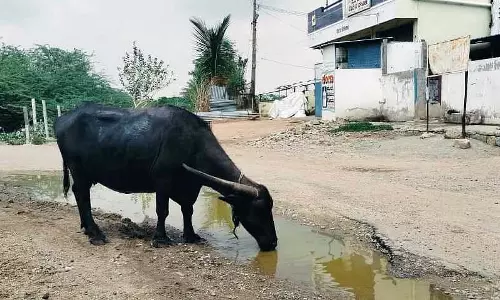 Raichur : गर्मी का प्रकोप बढ़ा, लोग हीटस्ट्रोक से पीड़ित