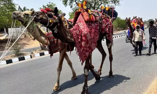 Telangana: निजामाबाद में सबसे ज्यादा तापमान