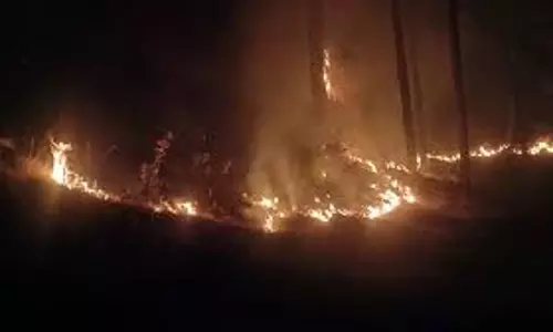 Champawat: बाराकोट के जंगलों में लगी भीषण आग, आग बुझाने में जुटा महकमा Champawat: बाराकोट के जंगलों में लगी भीषण आग, आग बुझाने में जुटा महकमा