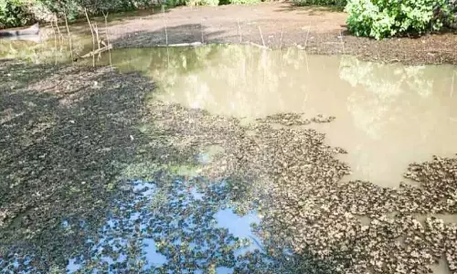 अमीबिक इंसेफेलाइटिस: कडक्कावूर में निर्माण मजदूर का इलाज चल रहा