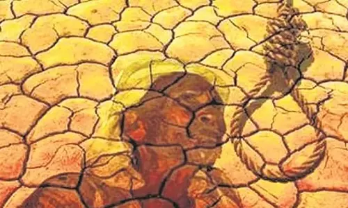 मराठवाड़ा में किसानों की आत्महत्या में वृद्धि, 2025 तक 269 मामले दर्ज किए जाएंगे मराठवाड़ा में किसानों की आत्महत्या में वृद्धि, 2025 तक 269 मामले दर्ज किए जाएंगे