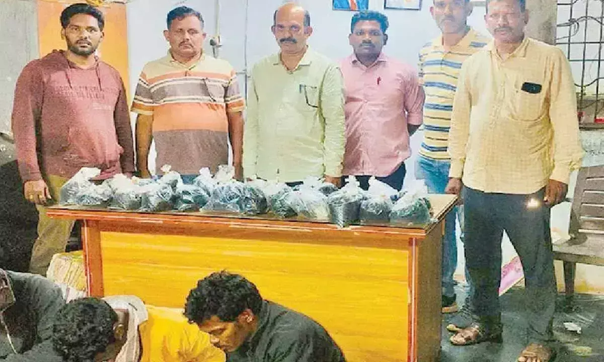 STF ने तीन लोगों को गिरफ्तार कर 23 किलो हशीश तेल जब्त किया