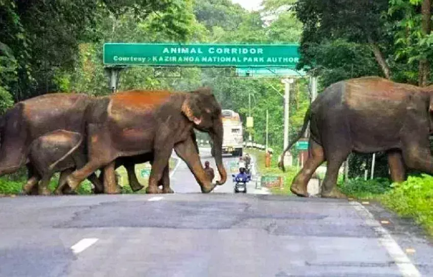 Assam सरकार ने काजीरंगा राष्ट्रीय उद्यान के आसपास पारिस्थितिकी-संवेदनशील क्षेत्र के प्रस्ताव को रद्द किया
