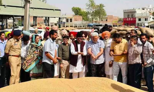गेहूं की खरीद सुचारू रूप से चल रही: Minister