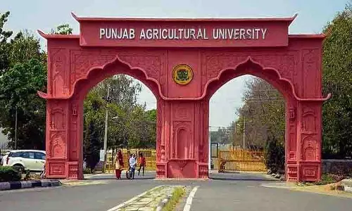 PAU कर्मचारी को निलंबन के बाद बहाल किया, यूनियन ने पत्नी की मौत के लिए घटनाक्रम को जिम्मेदार ठहराया PAU कर्मचारी को निलंबन के बाद बहाल किया, यूनियन ने पत्नी की मौत के लिए घटनाक्रम को जिम्मेदार ठहराया