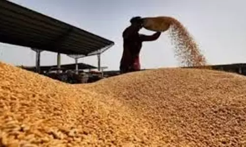 Jaipur: खाद्यान्न भण्डारण के लिए सरकार करेगी किसानों और व्यापारियों को समुचित सुविधा उपलब्ध