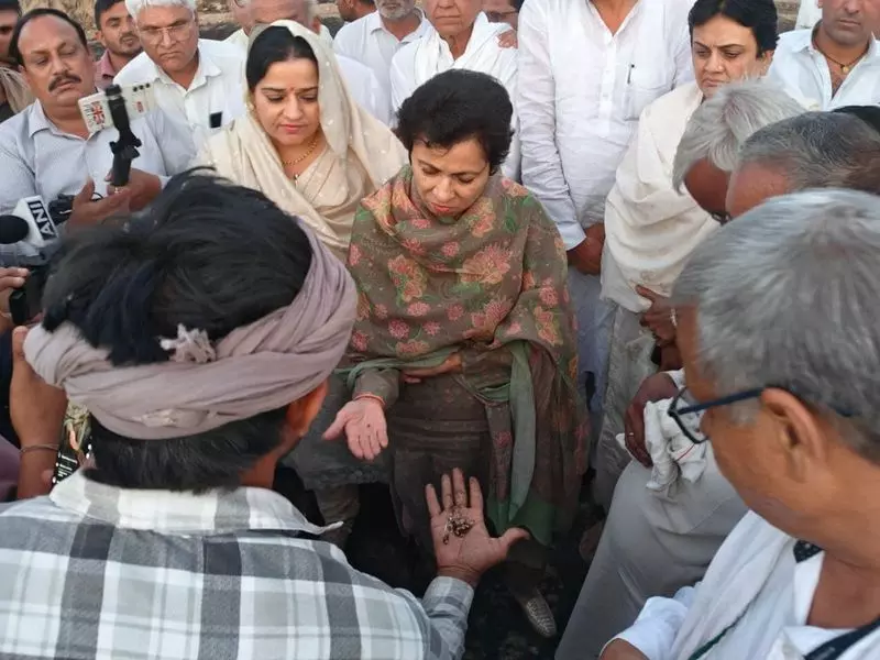 Haryana : सांसद शैलजा ने कहा, राज्यभर में करोड़ों रुपये का गेहूं बर्बाद हुआ Haryana : सांसद शैलजा ने कहा, राज्यभर में करोड़ों रुपये का गेहूं बर्बाद हुआ