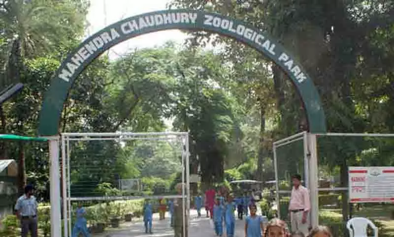 Chhatbir Zoo की बाड़बंदी का काम 1.33 करोड़ रुपये की लागत से पूरा Chhatbir Zoo की बाड़बंदी का काम 1.33 करोड़ रुपये की लागत से पूरा