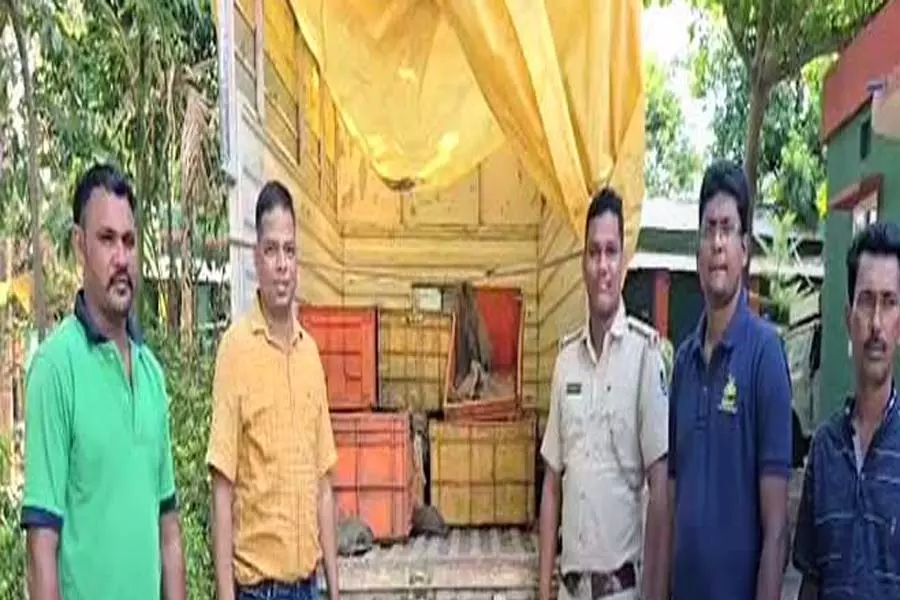 वन्यजीव तस्करी का प्रयास विफल: मलकानगिरी में 473 कछुए बचाए गए; तस्कर भाग गये वन्यजीव तस्करी का प्रयास विफल: मलकानगिरी में 473 कछुए बचाए गए; तस्कर भाग गये