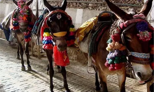 Jammu-Kashmir: वैष्णो देवी रूट पर दो लोग पकड़े गए, फर्जी पहचान के आधार पर दे रहे थे टट्टू   सेवाएं