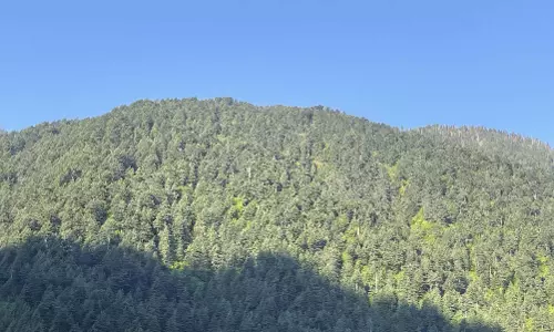 सेना हाई अलर्ट, LoC पर पाकिस्तान को दिया फायरिंग का मुहंतोड़ जवाब सेना हाई अलर्ट, LoC पर पाकिस्तान को दिया फायरिंग का मुहंतोड़ जवाब