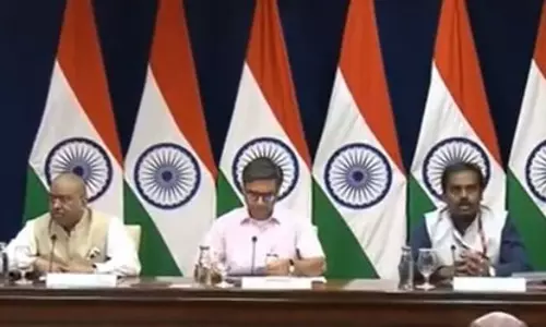 पाकिस्तानी हिंदू शरणार्थियों को राहत, लॉन्ग टर्म वीजा जारी रहेंगे : विदेश मंत्रालय