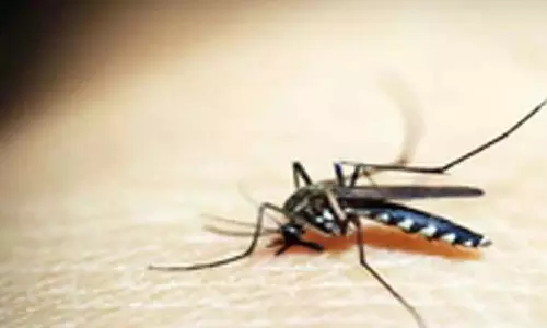 कंबोडिया मलेरिया मुक्त लक्ष्य प्राप्त करने के कगार पर: प्रधानमंत्री हुन
