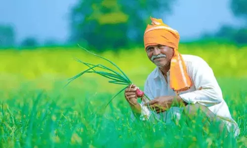 Madhopur: पीएम किसान योजना में नवाचार, पोर्टल पर नई सुविधाएं और दिशा-निर्देश जारी Madhopur: पीएम किसान योजना में नवाचार, पोर्टल पर नई सुविधाएं और दिशा-निर्देश जारी