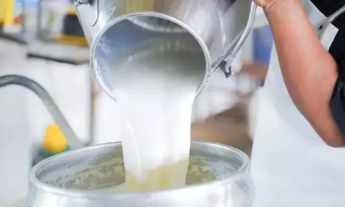 दूध उत्पादन घटता है; डेयरी क्षेत्र संकट में दूध उत्पादन घटता है; डेयरी क्षेत्र संकट में