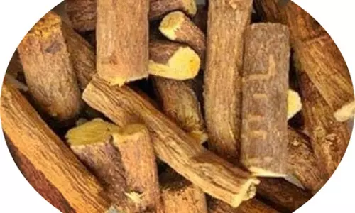 औषधीय गुणों से भरपूर है मुलेठी, हार्ट ब्लॉकेज रोकने में मददगार