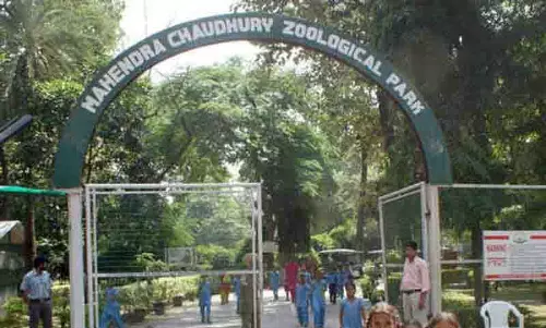Chhatbir Zoo की बाड़बंदी का काम 1.33 करोड़ रुपये की लागत से पूरा Chhatbir Zoo की बाड़बंदी का काम 1.33 करोड़ रुपये की लागत से पूरा