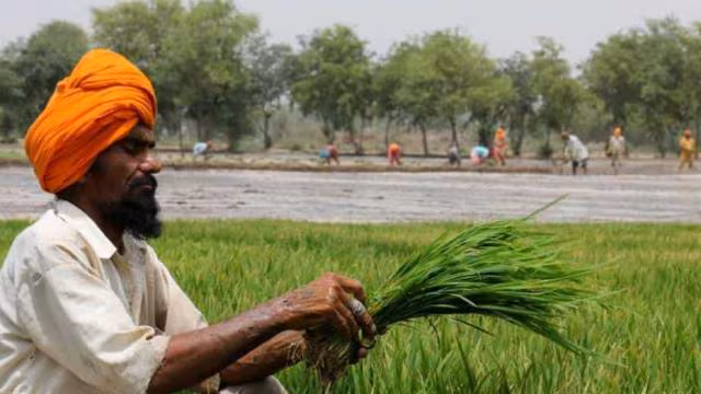 Baran: पीएम किसान सम्मान निधि भौतिक सत्यापन कार्य समय पर पूर्ण करें: जिला कलेक्टर