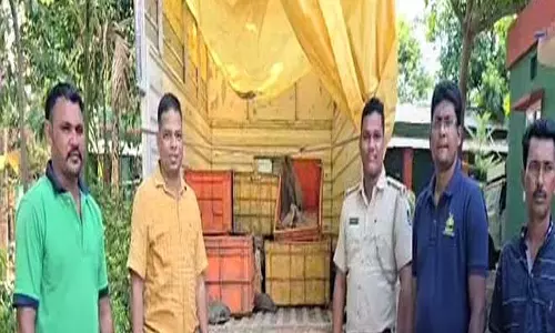 वन्यजीव तस्करी का प्रयास विफल: मलकानगिरी में 473 कछुए बचाए गए; तस्कर भाग गये वन्यजीव तस्करी का प्रयास विफल: मलकानगिरी में 473 कछुए बचाए गए; तस्कर भाग गये