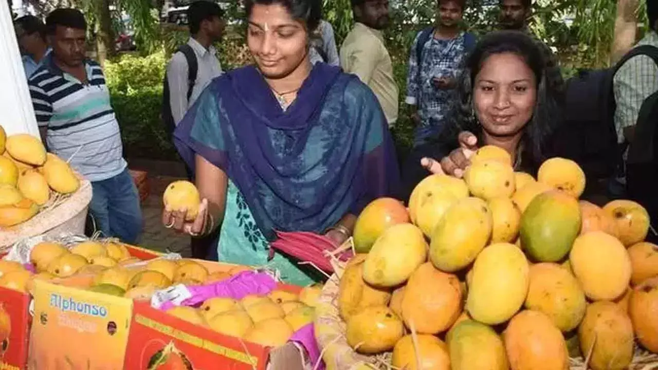 Telangana: कार्बाइड मिश्रित आम से स्वास्थ्य संबंधी जटिलताएं और बांझपन हो सकता है Telangana: कार्बाइड मिश्रित आम से स्वास्थ्य संबंधी जटिलताएं और बांझपन हो सकता है