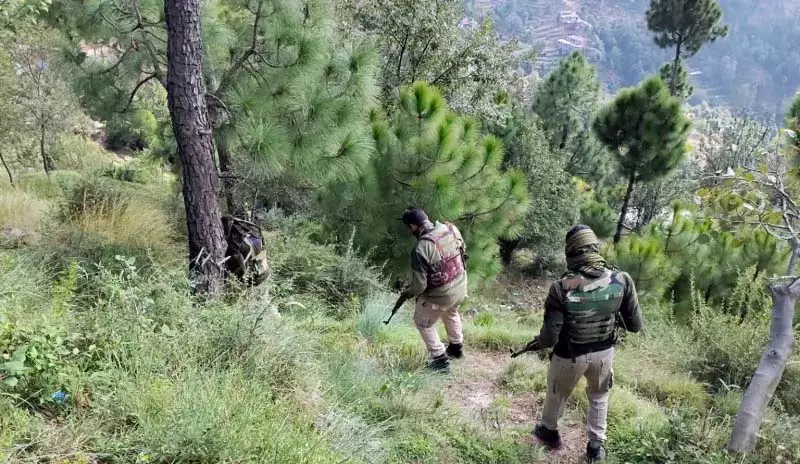 उधमपुर के जंगल, राजौरी, पुंछ में फरार आतंकवादियों की तलाश जारी उधमपुर के जंगल, राजौरी, पुंछ में फरार आतंकवादियों की तलाश जारी