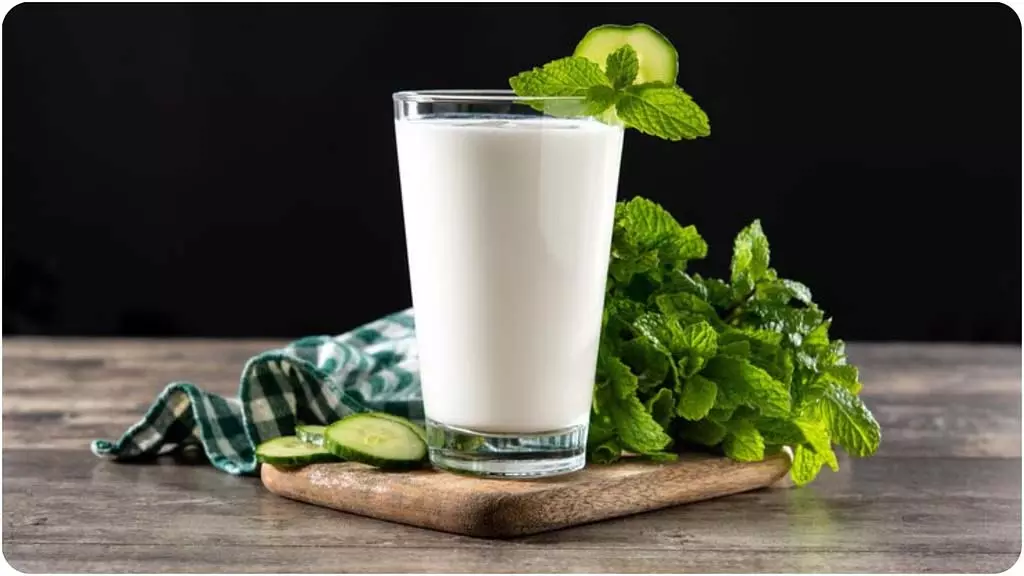 Summer Food: लू से बचाएंगे ये फूड आइटम्स, आज से ही अपनी डाइट में करें शामिल Summer Food: लू से बचाएंगे ये फूड आइटम्स, आज से ही अपनी डाइट में करें शामिल