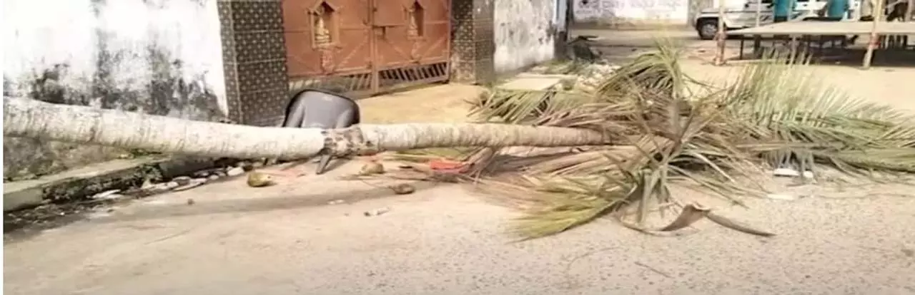 Odisha : जगतसिंहपुर में रामलीला के दौरान नारियल का पेड़ गिरने से महिला की मौत Odisha : जगतसिंहपुर में रामलीला के दौरान नारियल का पेड़ गिरने से महिला की मौत