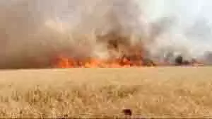 Haryana : शॉर्ट-सर्किट से लगी भीषण आग, गेहूं की फसल और गन्ना जलकर राख Haryana : शॉर्ट-सर्किट से लगी भीषण आग, गेहूं की फसल और गन्ना जलकर राख