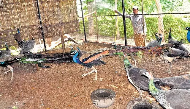 Telangana भीषण गर्मी की चपेट में, आदिलाबाद में तापमान 45.5 डिग्री सेल्सियस पहुंचा Telangana भीषण गर्मी की चपेट में, आदिलाबाद में तापमान 45.5 डिग्री सेल्सियस पहुंचा