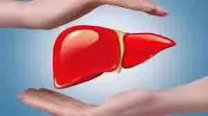 Health: लिवर को डिटॉक्स करने में मदद करते हैं ये 5 आयुर्वेदिक फूड्स, जानें फायदे Health: लिवर को डिटॉक्स करने में मदद करते हैं ये 5 आयुर्वेदिक फूड्स, जानें फायदे
