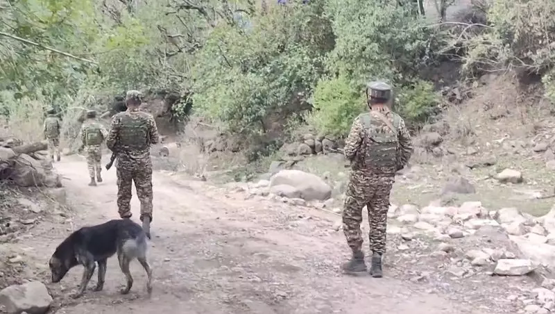 सुरक्षा बलों ने आतंकवादियों को बेअसर करने के लिए Kishtwar के जंगलों की तलाशी ली सुरक्षा बलों ने आतंकवादियों को बेअसर करने के लिए Kishtwar के जंगलों की तलाशी ली